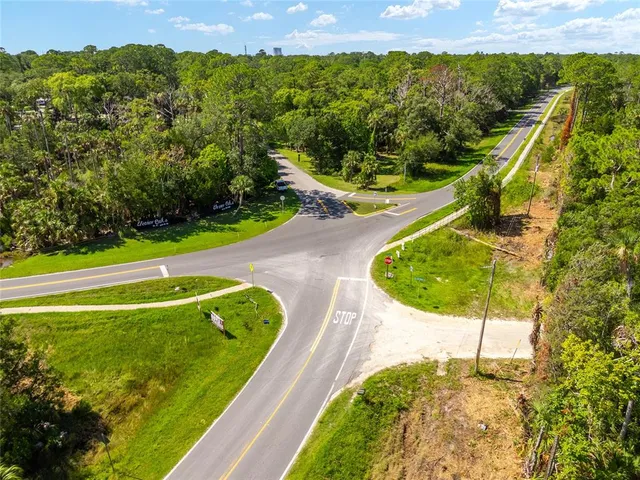 a view of a garden with plants