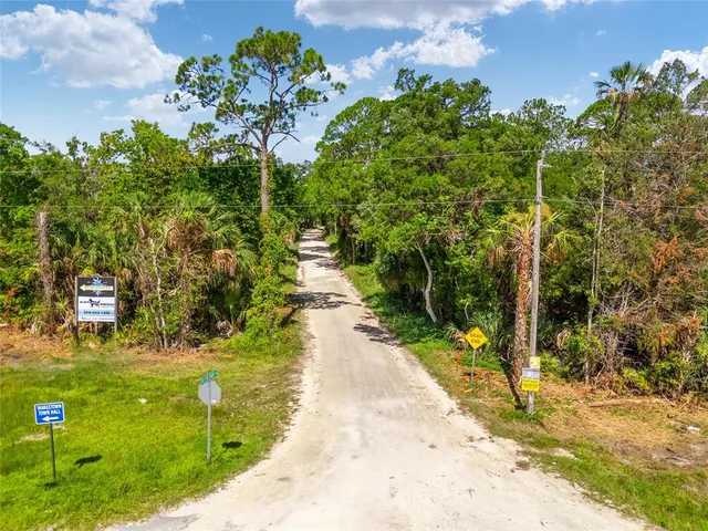 a view of park with trees