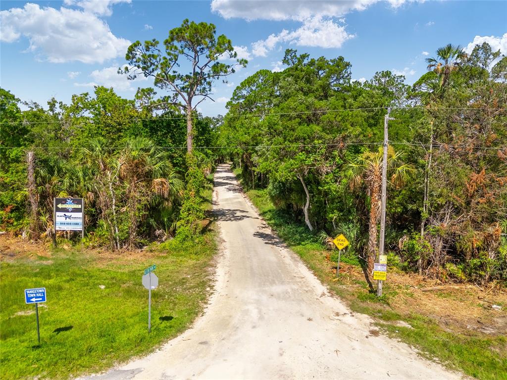 0 Southeast 193rd Place Yankeetown, FL 34498 - Photo 19 of 31 a view of a garden with plants