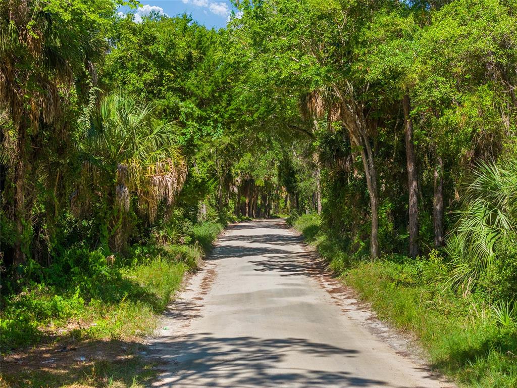 0 Southeast 193rd Place Yankeetown, FL 34498 - Photo 20 of 31 a view of park with trees