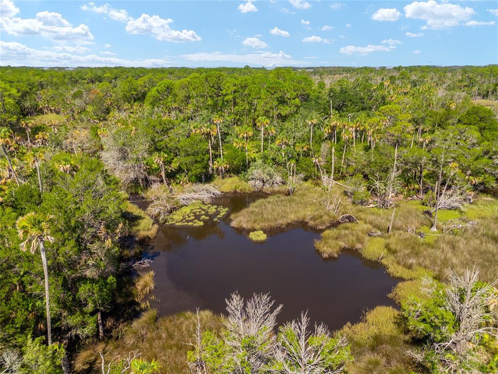 0 Southeast 193rd Place Yankeetown, FL 34498 - Photo 25 of 31 a view of a yard
