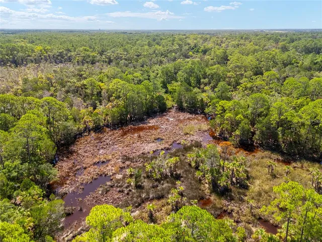 a view of a city with lush green forest