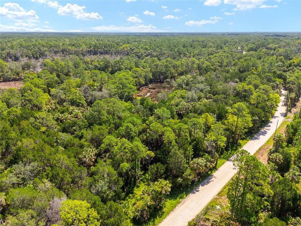 0 Southeast 193rd Place Yankeetown, FL 34498 - Photo 27 of 31 an aerial view of residential houses with outdoor space and trees