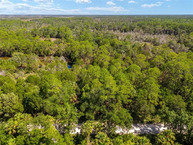 $250,000 | 0 Southeast 193rd Place, Yankeetown, FL 34498