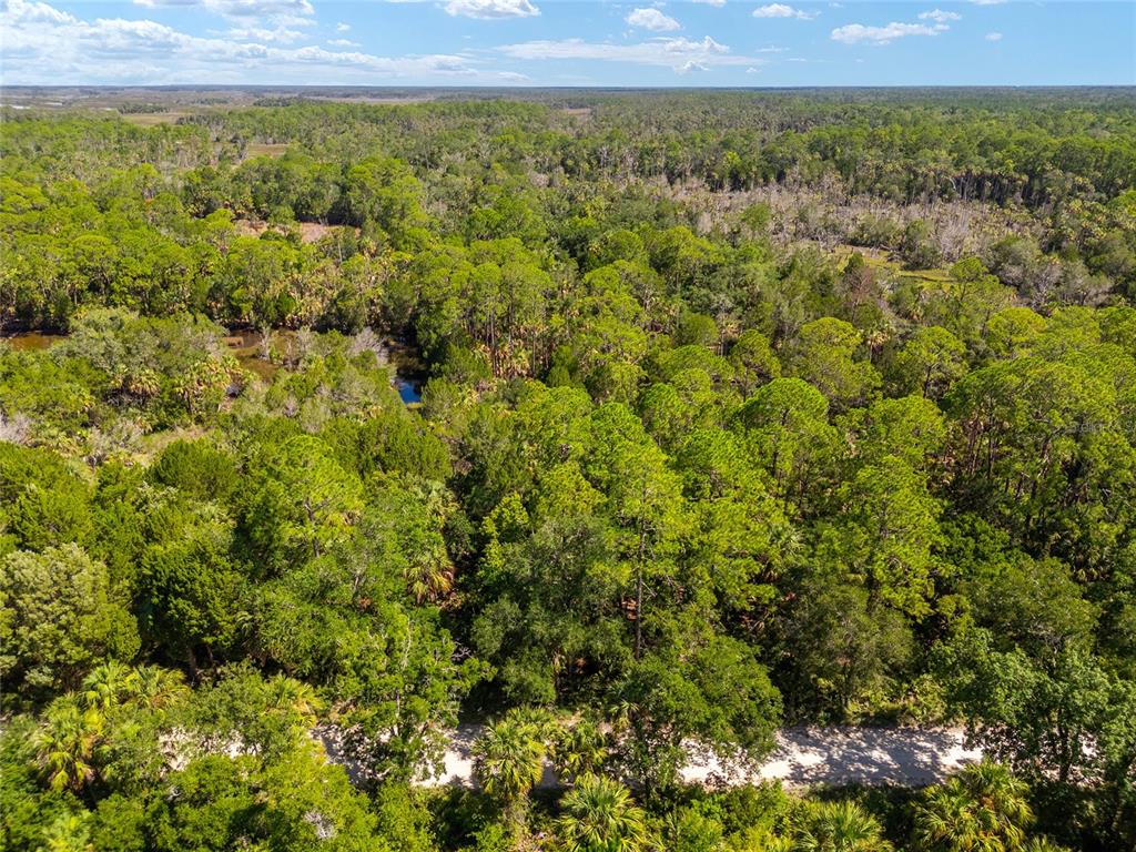 0 Southeast 193rd Place Yankeetown, FL 34498 - Photo 29 of 31 a view of a city with lush green forest