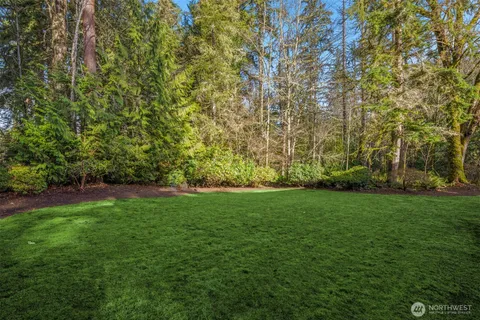 a view of yard with green space