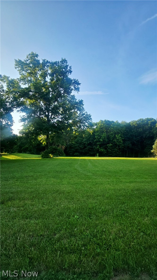 V/l Nelson Mosier Road Southington, OH 44470 - Photo 11 of 11