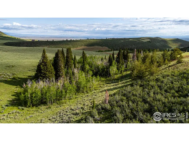 $795,000 | 209 Forb Lane, Livermore, CO 80536