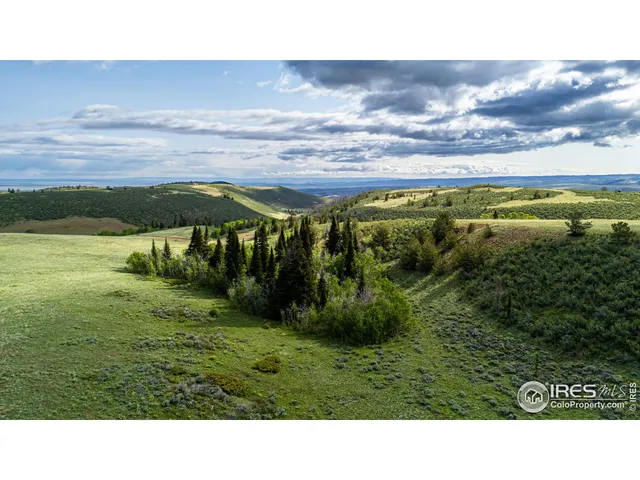 $795,000 | 209 Forb Lane, Livermore, CO 80536