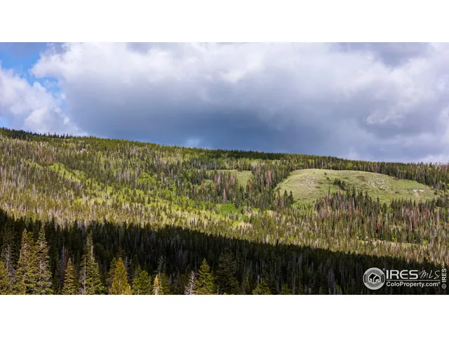 $795,000 | 209 Forb Lane, Livermore, CO 80536