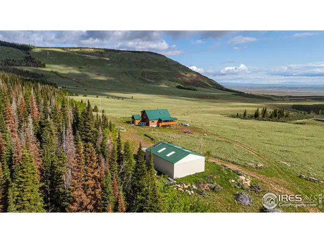 $795,000 | 209 Forb Lane, Livermore, CO 80536