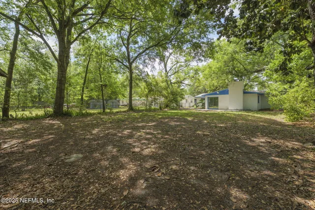 a view of a backyard with large trees