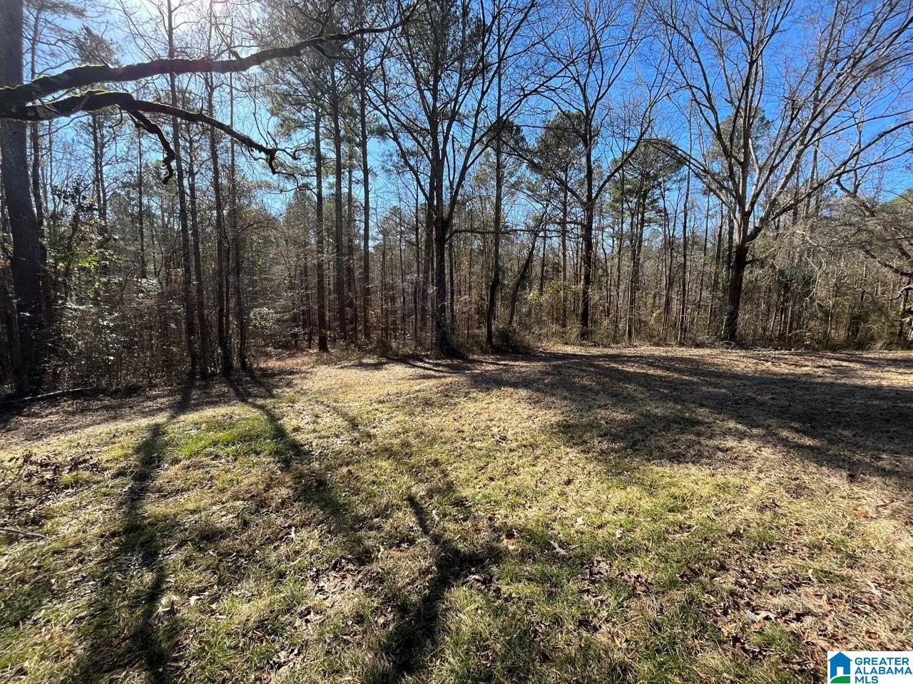 45535 Highway 17 Vernon, AL 35592 - Photo 8 of 15