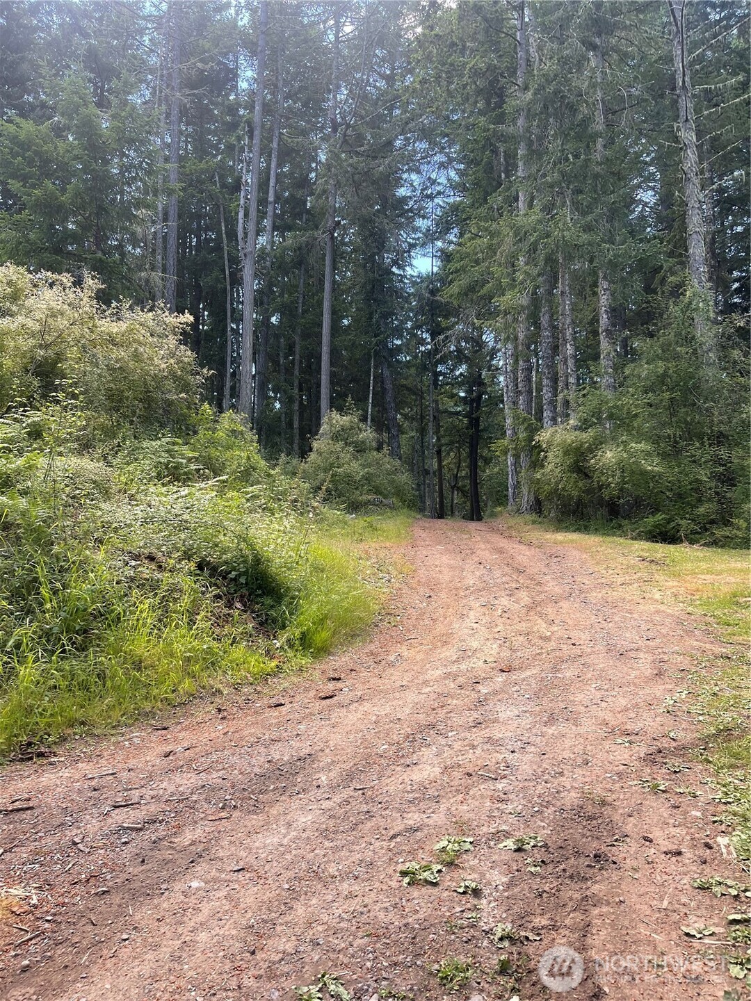 0 Reef Net Road Friday Harbor, WA 98250 - Photo 10 of 40