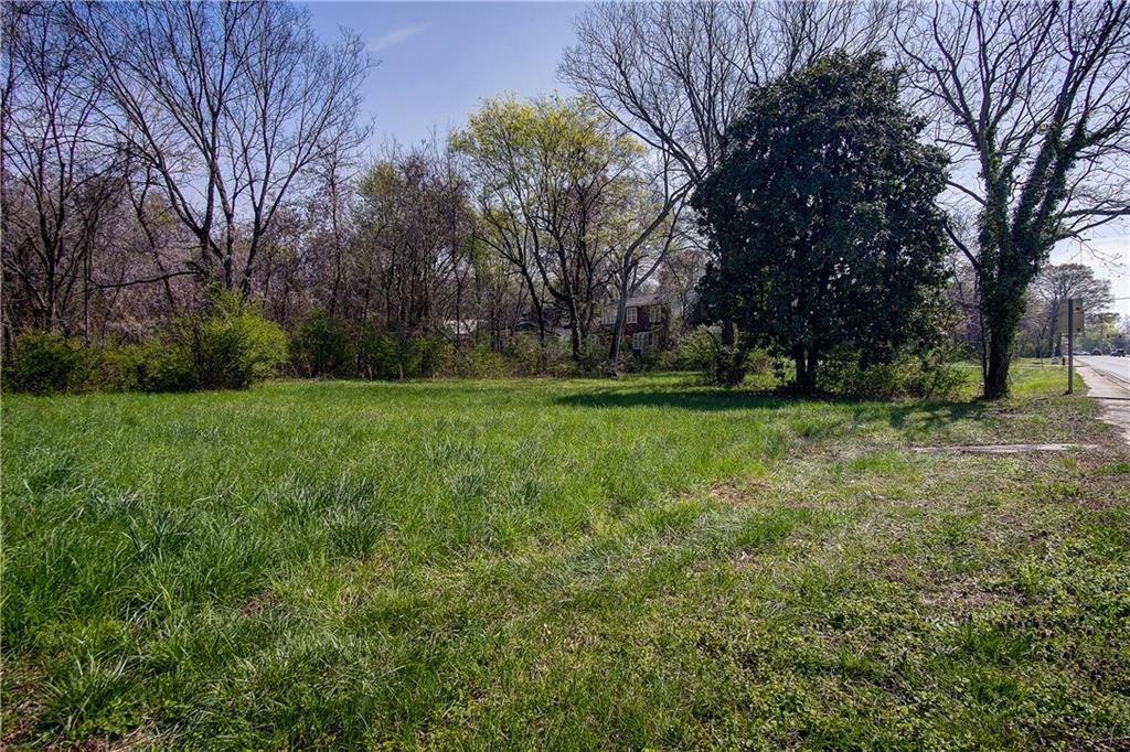 207 North River Street Calhoun, GA 30701 - Photo 15 of 23 a view of a grassy field with trees
