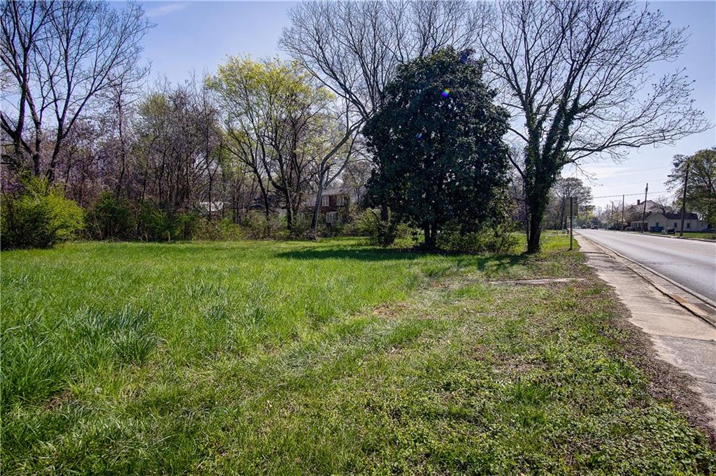207 North River Street Calhoun, GA 30701 - Photo 16 of 23 a view of a park with large trees