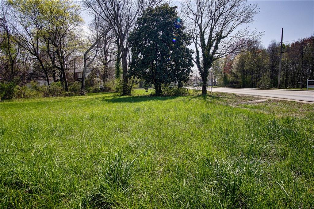 207 North River Street Calhoun, GA 30701 - Photo 17 of 23 a view of backyard with large trees