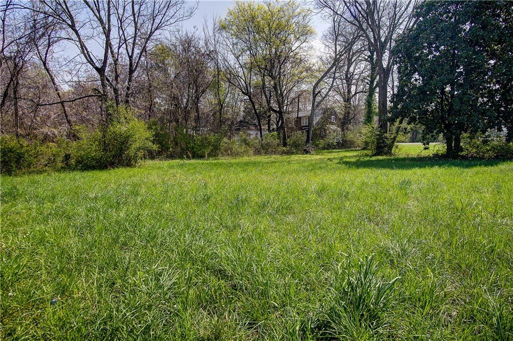 207 North River Street Calhoun, GA 30701 - Photo 18 of 23 a view of backyard with large trees