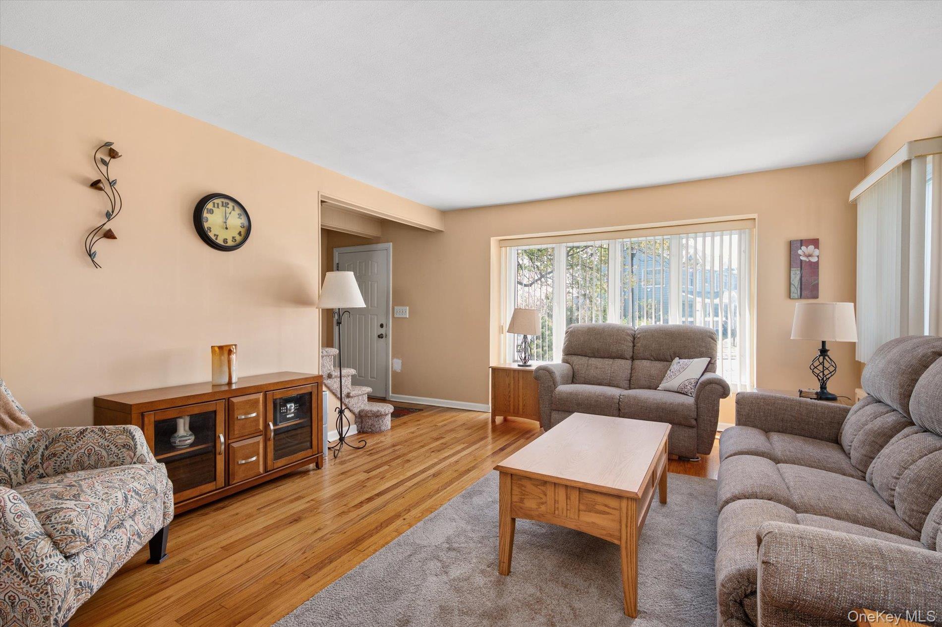 117 Betty Road East Meadow, NY 11554 - Photo 5 of 23
