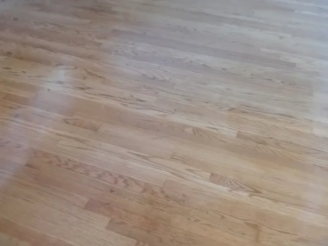 a view of a yard with an empty space