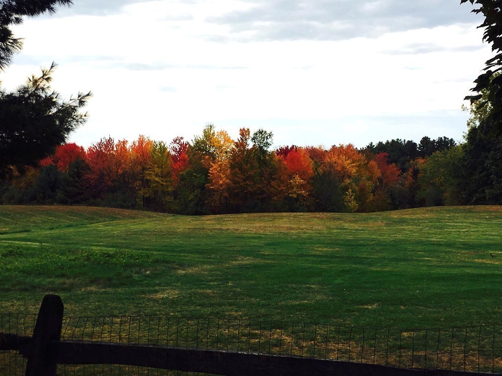 24 Old Ayer Road Groton, MA 01450 - Photo 3 of 29 a view of a field of grass and trees