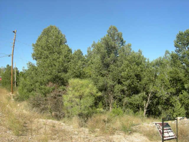 3443 Top View Road, Unit 373 Overgaard, AZ 85933 - Photo 2 of 2 Additional Photo