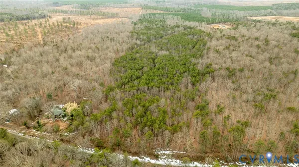 a view of backyard with trees