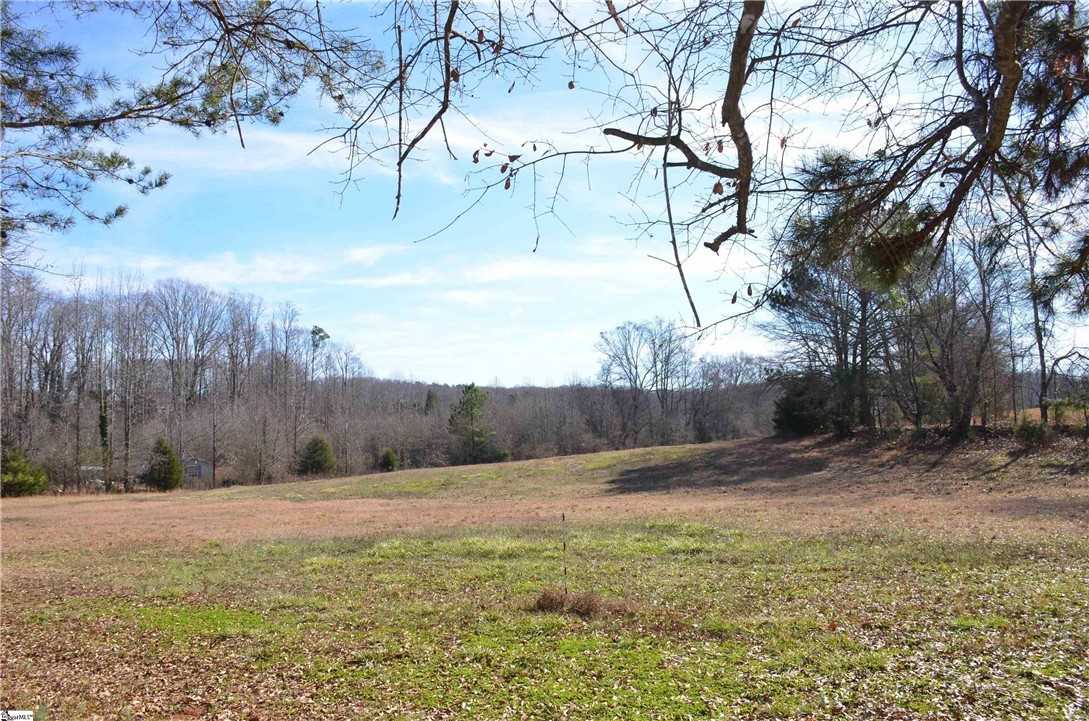 0 Pepper Road Easley, SC 29642 - Photo 11 of 22