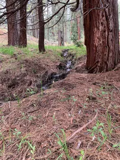 $90,000 | 1063 Buckskin Lane, Portola, CA 96122