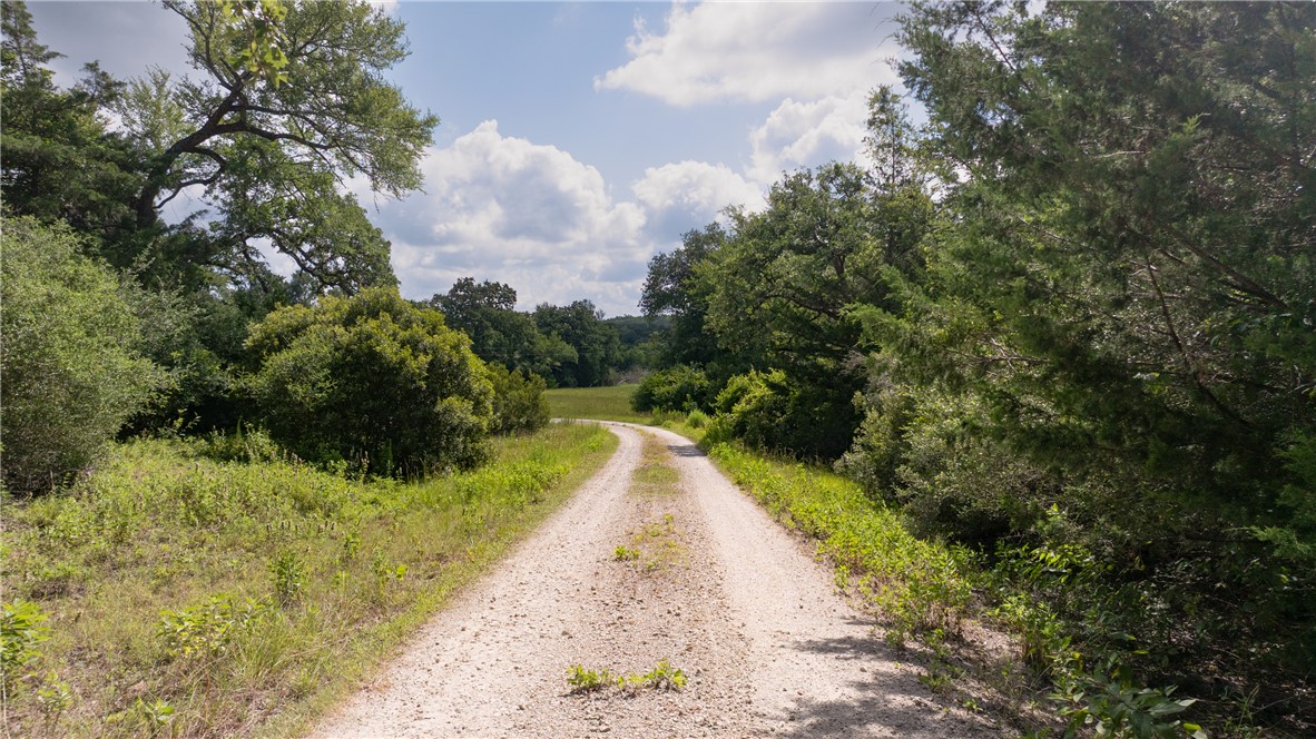 4074 Bucksnort Road Franklin, TX 77856 - Photo 29 of 41