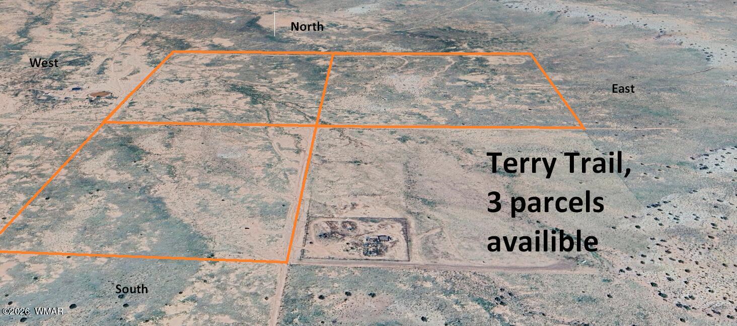 8358 Terry Trail Snowflake, AZ 85937 - Photo 2 of 11