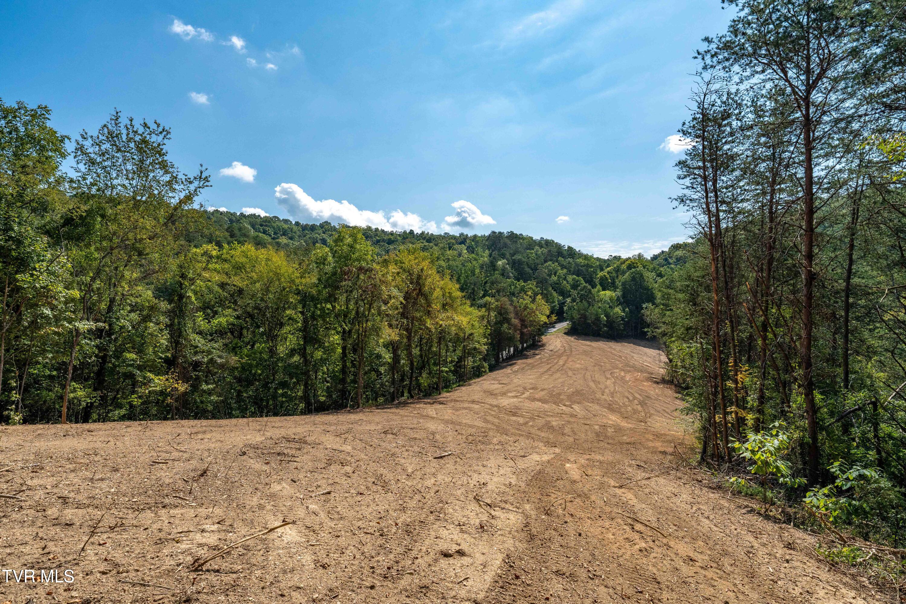 Tbd Ninny Ridge Road Whitesburg, TN 37891 - Photo 54 of 55 TBD Ninnie Ridge Rd (41 of 59)