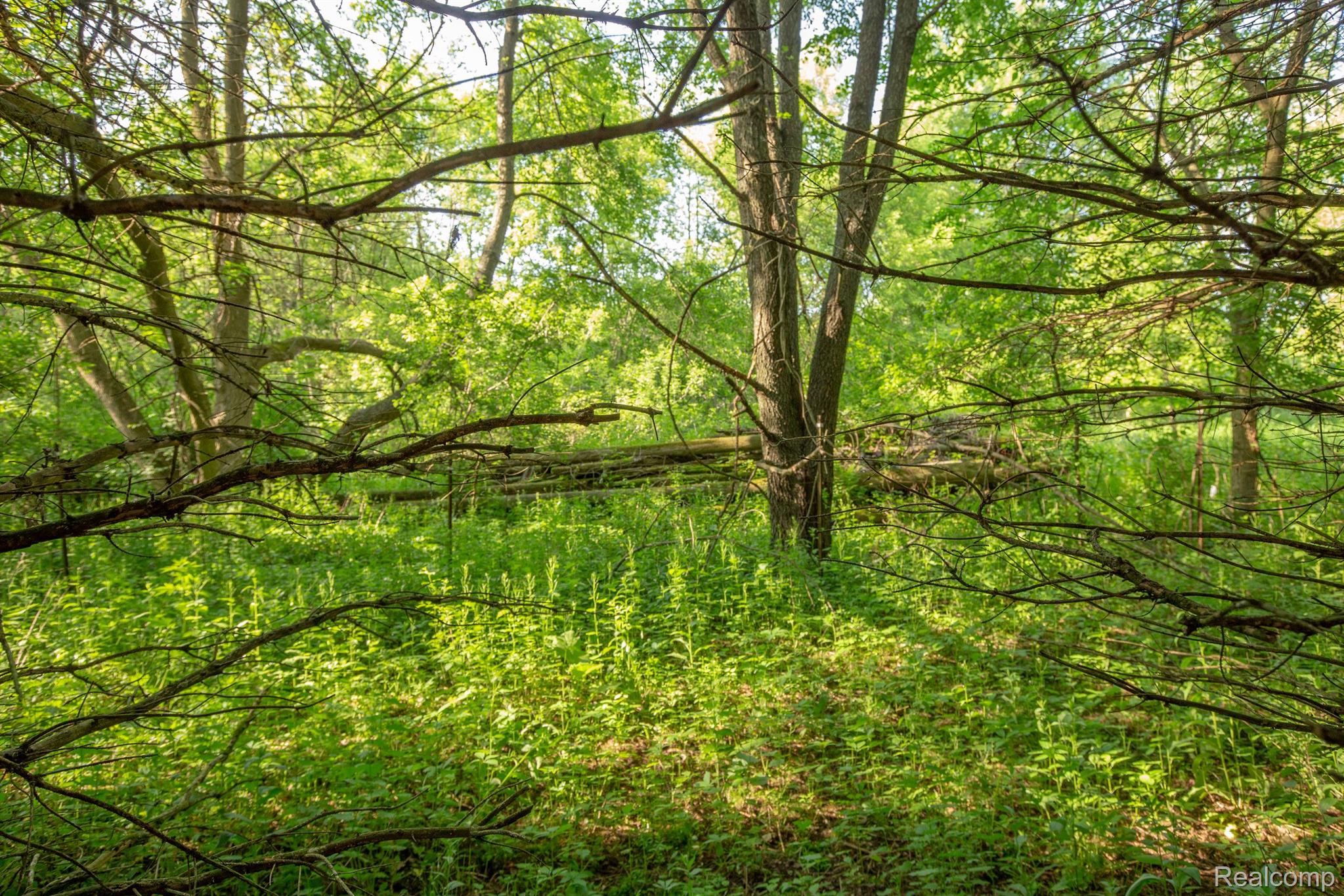 7970 West Liberty Road Ann Arbor, MI 48103 - Photo 20 of 24 Gallery Image 20