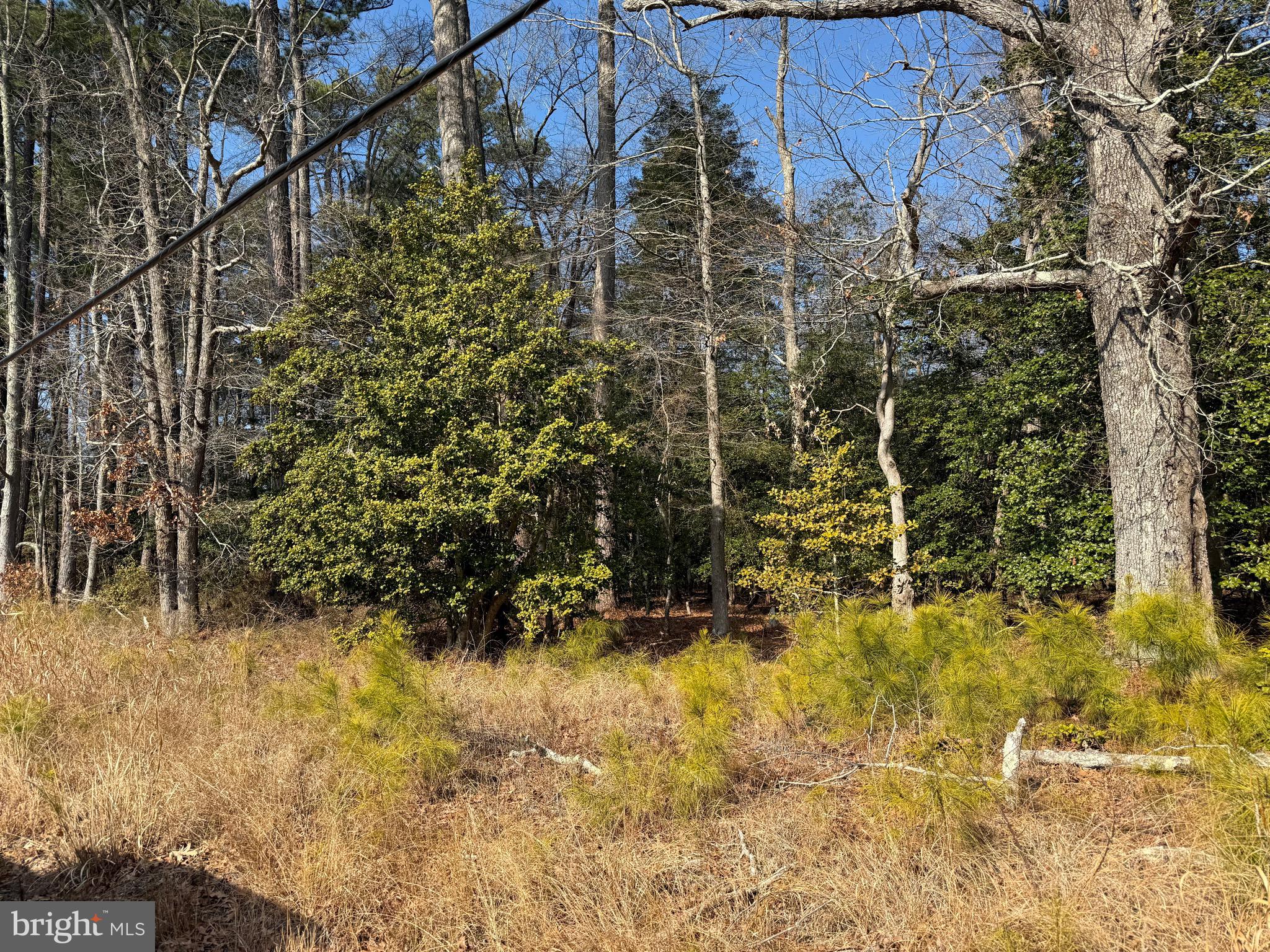 0 Fleet's Bay Road White Stone, VA 22578 - Photo 2 of 20 Gallery Image 2