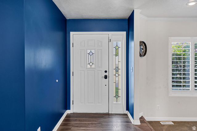 892 East 400 South Smithfield, UT 84335 - Photo 4 of 44 Foyer entrance with dark wood-style floors, plenty of natural light, and a textured ceiling