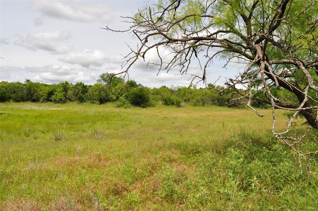 1849 2 Bush Road Perrin, TX 76486 - Photo 37 of 40