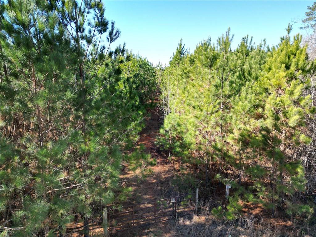 0 Jaudon Road Elberton, GA 30635 - Photo 7 of 7