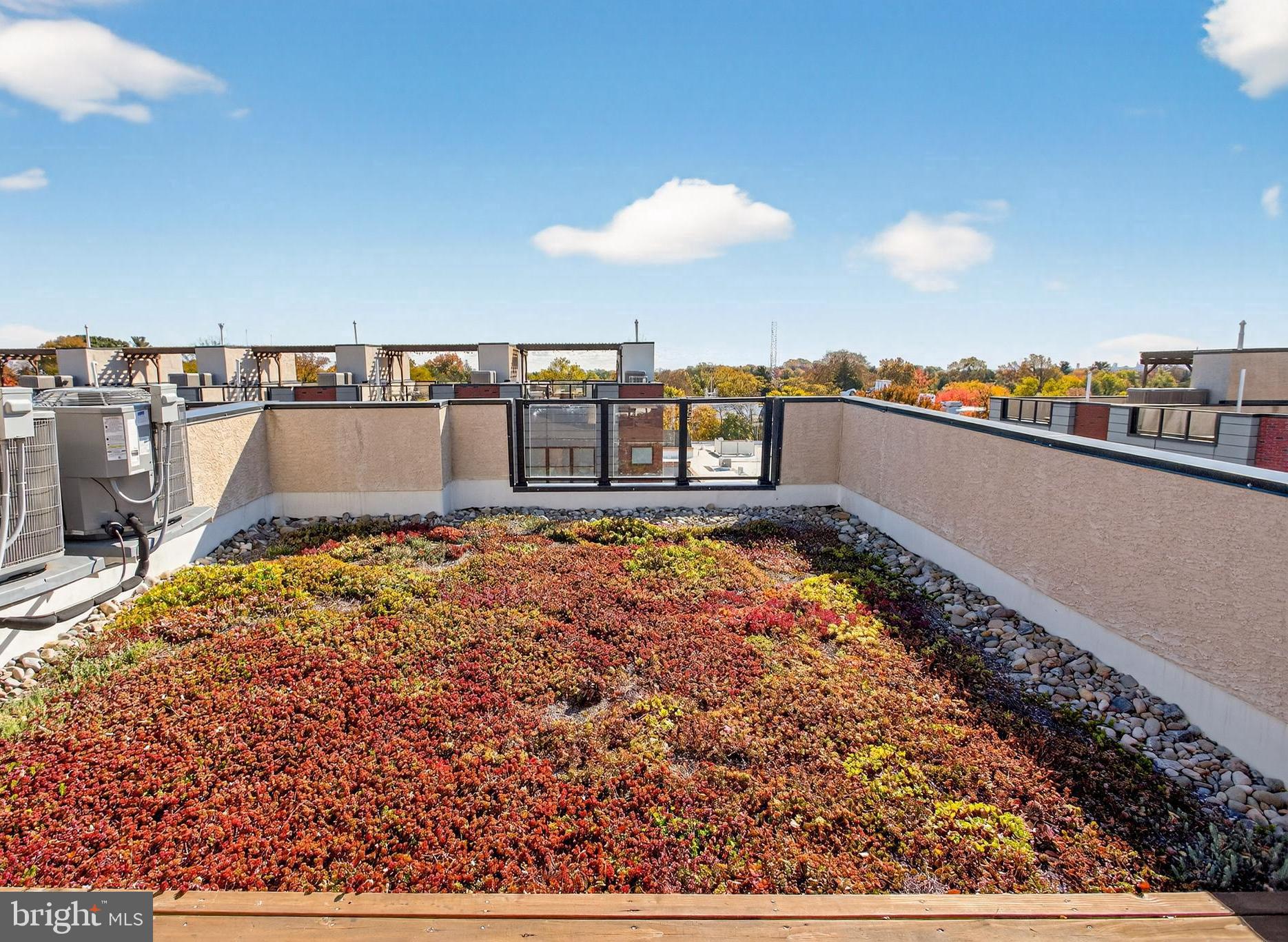 7019 Pipers Glen Way Philadelphia, PA 19119 - Photo 9 of 50 Green roof!