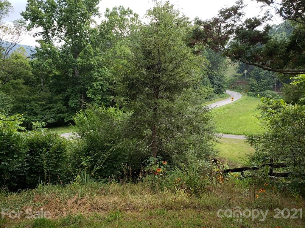 419 Old Michael Road Canton, NC 28716 - Photo 6 of 15 a view of a garden