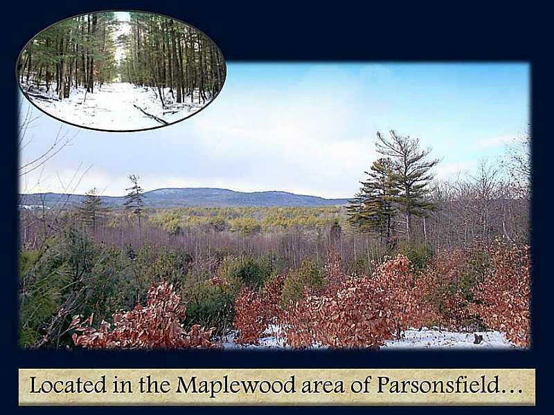 Lot 15 South Road Parsonsfield, ME 04047 - Photo 19 of 23 Other.
