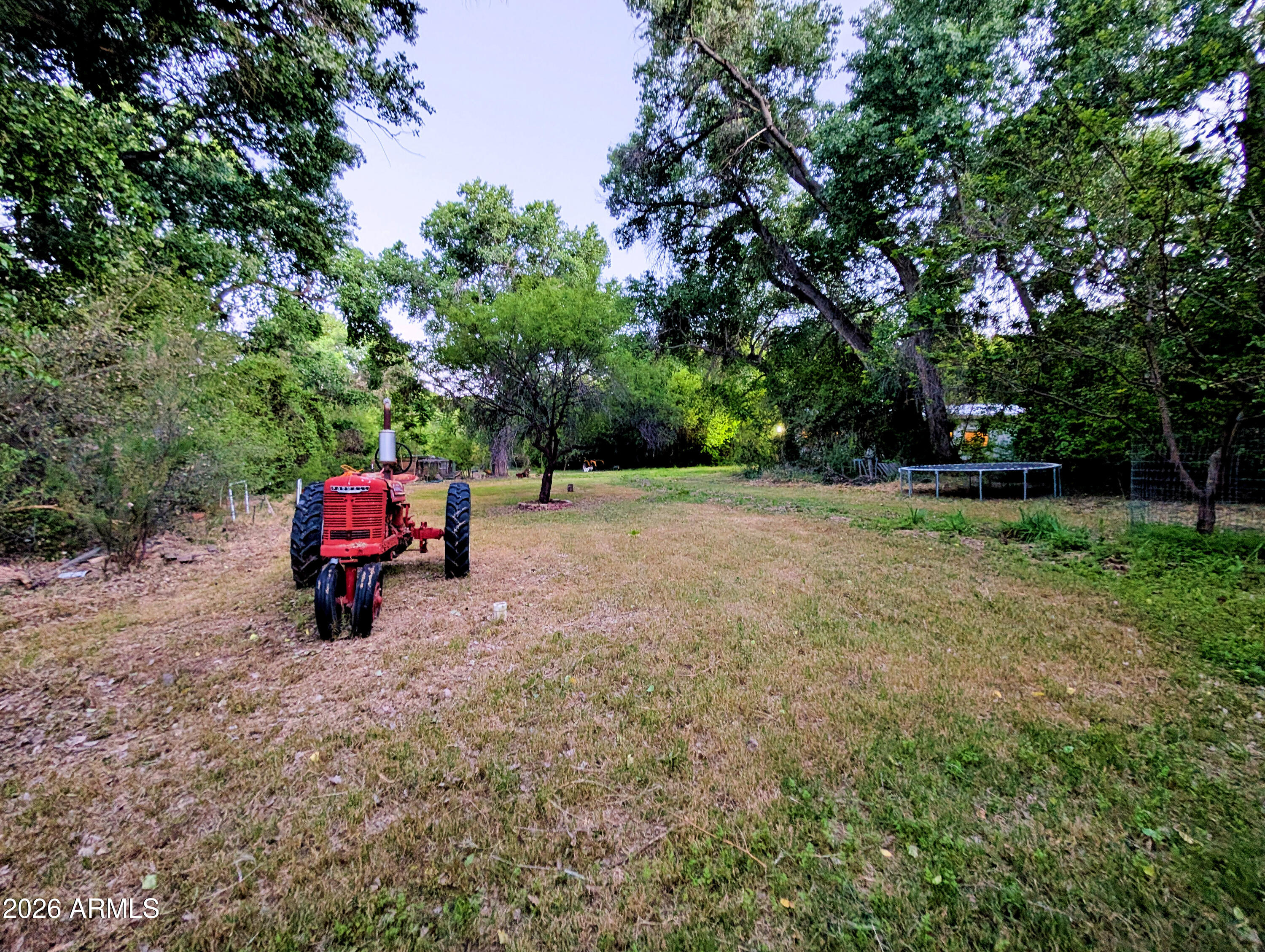 1165 North Willard Road Cottonwood, AZ 86326 - Photo 102 of 122 a view of a yard with a tree