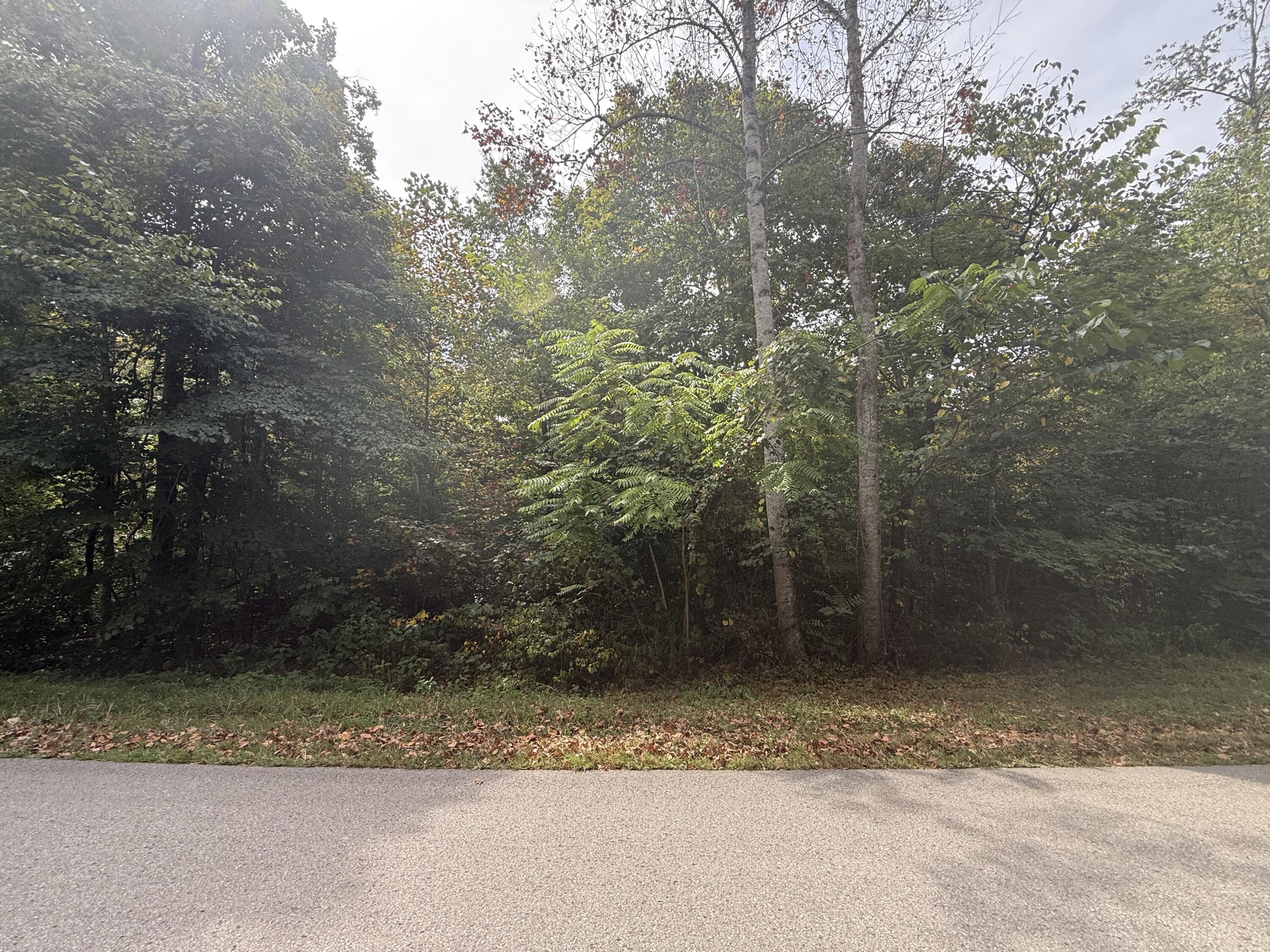 379 Ramseys Point Road Monticello, KY 42633 - Photo 17 of 25 Photo Sep 07 2026, 3 33 28 PM