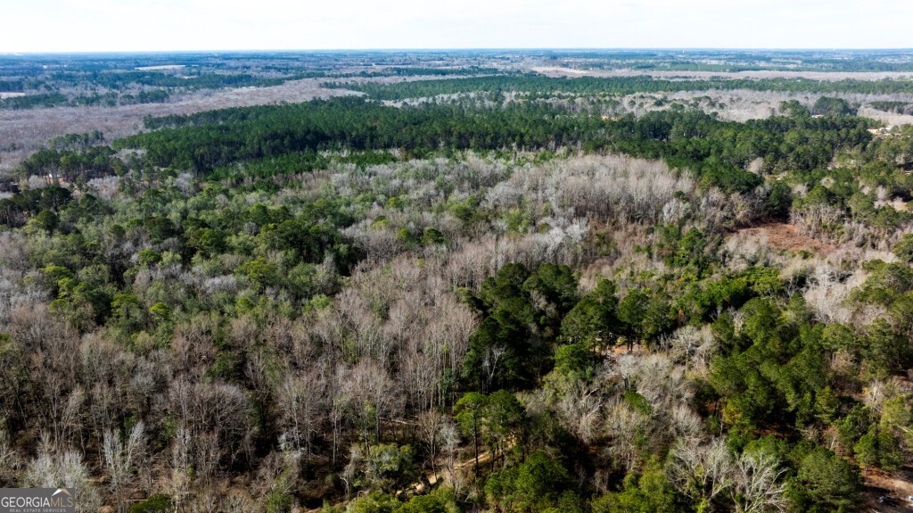 -riggs Mill La Riggs Mill Statesboro, GA 30458 - Photo 11 of 27 a view of a lush green forest with trees and houses