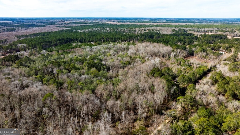 -riggs Mill La Riggs Mill Statesboro, GA 30458 - Photo 12 of 27 a view of a lake with a city