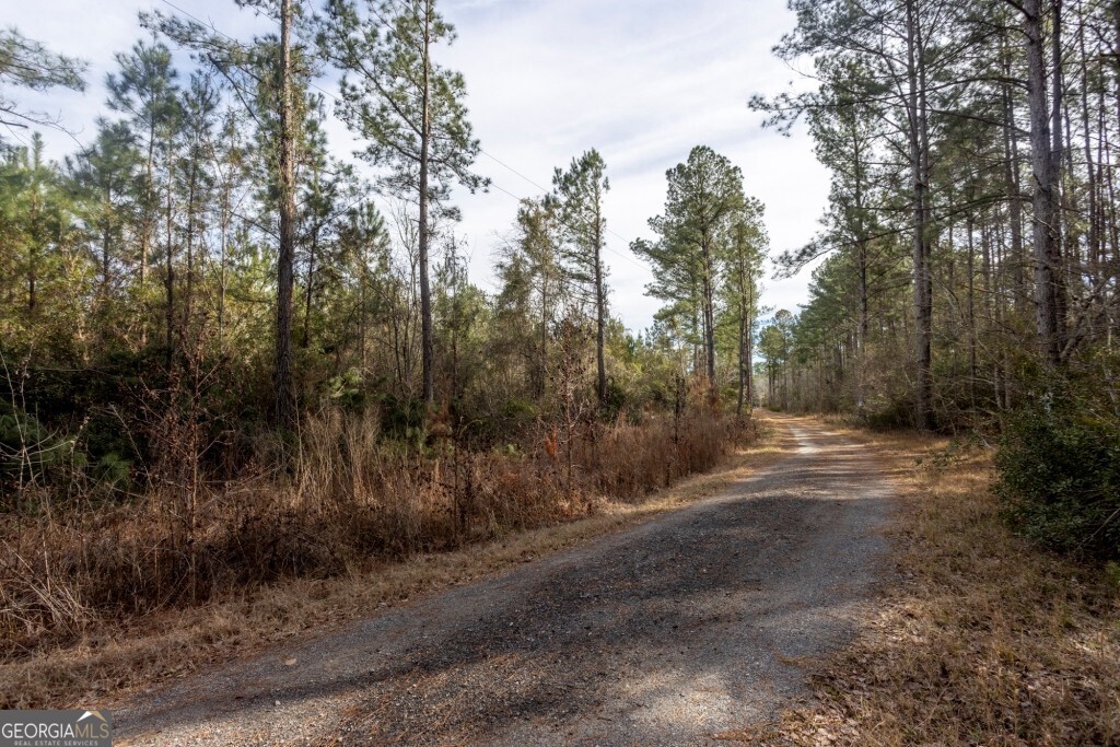 -riggs Mill La Riggs Mill Statesboro, GA 30458 - Photo 14 of 27 a view of a yard with trees