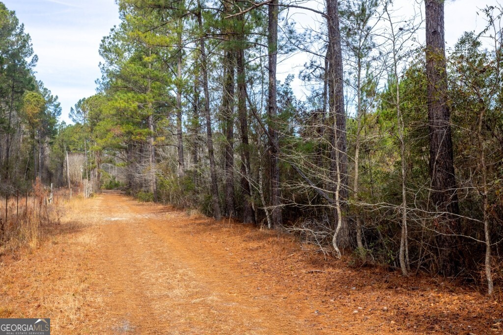 -riggs Mill La Riggs Mill Statesboro, GA 30458 - Photo 15 of 27 a view of a yard with trees
