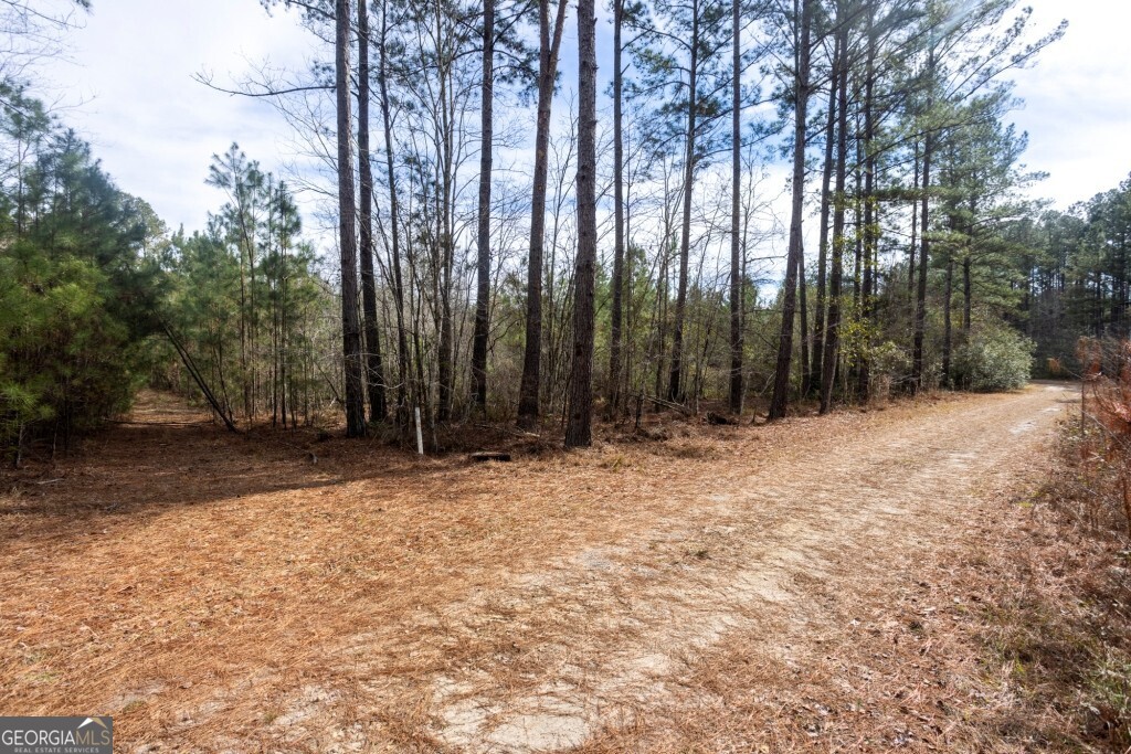 -riggs Mill La Riggs Mill Statesboro, GA 30458 - Photo 18 of 27 a view of backyard with trees