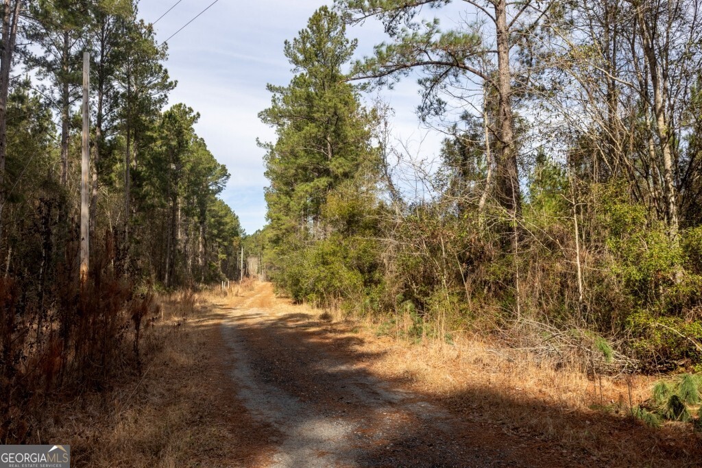-riggs Mill La Riggs Mill Statesboro, GA 30458 - Photo 19 of 27 a view of a yard with a tree