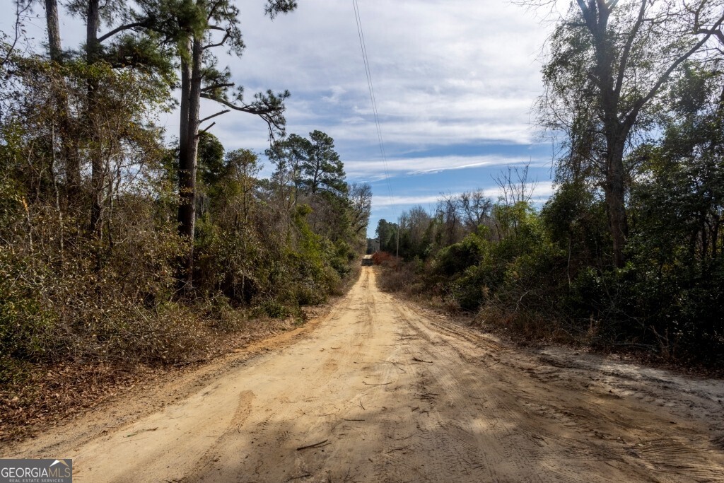 -riggs Mill La Riggs Mill Statesboro, GA 30458 - Photo 20 of 27 a view of a yard with trees outside of the house