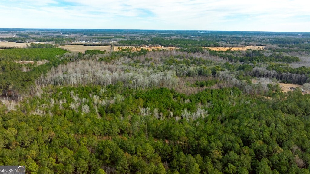 -riggs Mill La Riggs Mill Statesboro, GA 30458 - Photo 21 of 27 an aerial view of residential houses with outdoor space and trees